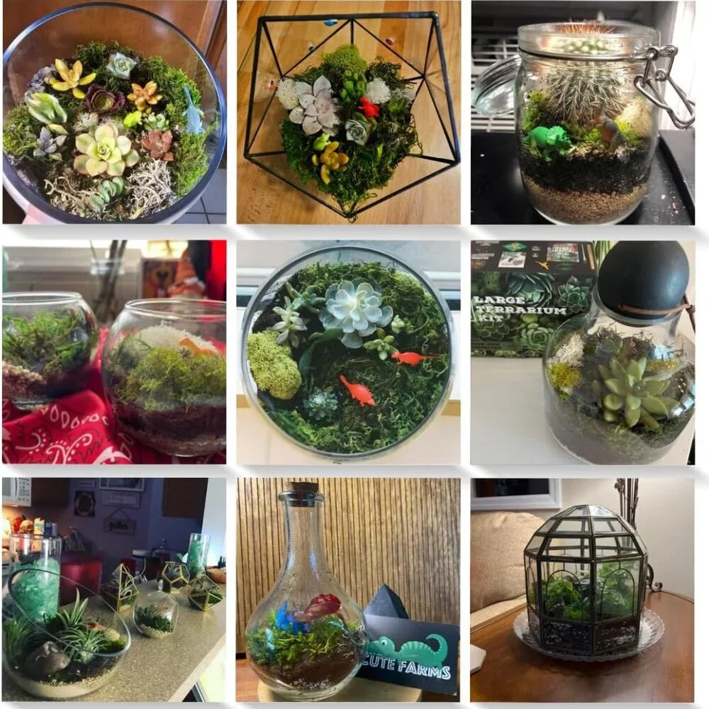 Terrarium Starter Kit | Moss, Vermiculite, Soil, Pebbles, Plant Food, Finishing - Picture 7 of 7